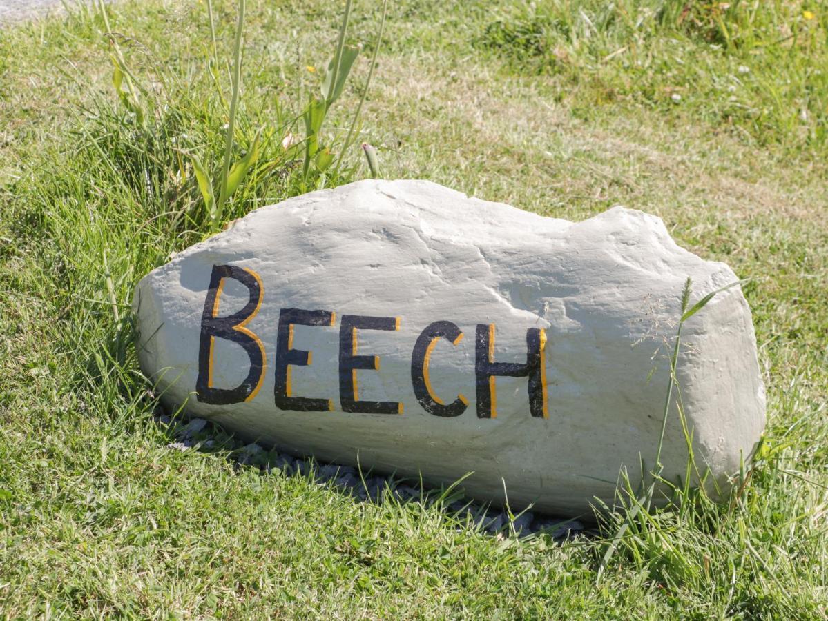 Beech Villa Ulverston Bagian luar foto