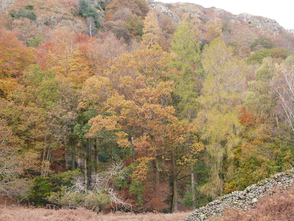 Beech Villa Ulverston Bagian luar foto